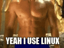 Linux Yeah I Use Linux GIF - Linux Yeah I Use Linux Gigachad GIFs
