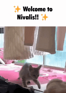 Welcome To Nivalis GIF - Welcome To Nivalis GIFs