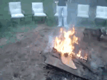 Somebody Is Excited For Fire... #dogs GIF - Dogs Fire Excited GIFs
