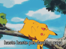 Pet Dard Hindi GIF - Pet Dard Hindi Pikachu Laughing GIFs