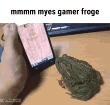 Mmmm Myes GIF - Mmmm Myes Gamer GIFs