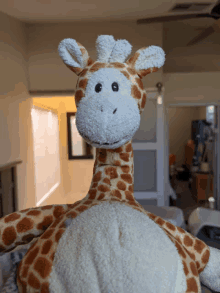 J Giraffe GIF