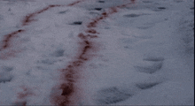 a blurred image of a snowy surface with footprints in it