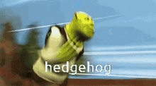 Hedgehog Okbp GIF - Hedgehog Okbp GIFs