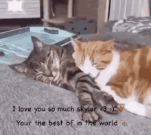 Skyler Best Bf GIF - Skyler Best Bf Cat GIFs