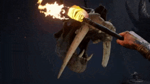 a person is holding a torch in front of a skull with tusks