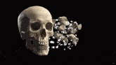a skull is surrounded by a pile of bones and a black background