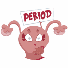felinia anatomia cinica organo utero period