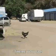 Chicken Crossing The Road GIF
