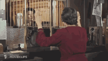Bonnie And Clyde Faye Dunaway GIF