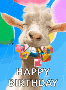 Party On GIF - Party On GIFs
