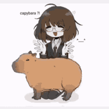 Capybara Coconut Doggy GIF - Capybara Coconut Doggy How To Make Meth GIFs