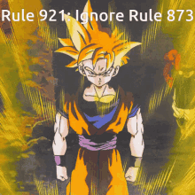 Rule921 GIF - Rule921 GIFs