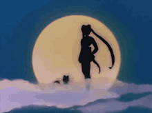 sailor moon shadow pose anime
