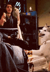 a man sitting on a couch with a dog on the floor