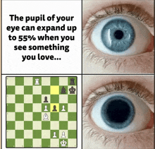 the pupil of your eye can expand up to 55% when you see something you love ..