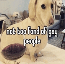 Homophobic Dog GIF - Homophobic Dog GIFs