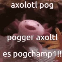 Axolotl Among Us GIF - Axolotl Among Us Minecraft GIFs