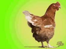 Chicken Hatch GIF - Chicken Hatch Yuv GIFs