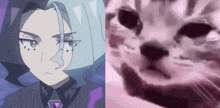 a close up of a cartoon character and a close up of a cat 's face .