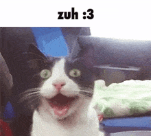 Zuh Omg GIF - Zuh Omg Shocked GIFs