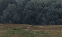 Monty Python And The Holy Grail Run GIF - Monty Python And The Holy Grail Run Running GIFs