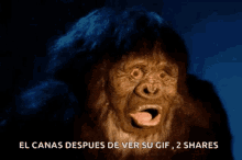 Ape Shock GIF - Ape Shock Wtf GIFs