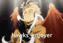 Hawks_enjoyer GIF - Hawks_enjoyer GIFs