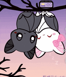 Cuddling Bats GIF
