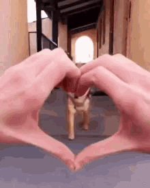 Heart Doge GIF - Heart Doge Shiba GIFs