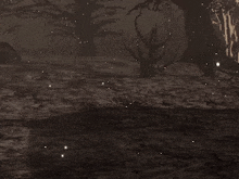 a silhouette of a person standing in a dark forest