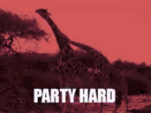 Giraffe Party Hard GIF - Giraffe Party Hard Lit GIFs