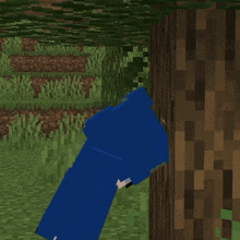 Wailable Bliss Smp GIF - Wailable Bliss Smp Minecraft GIFs