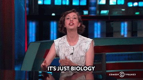 the-daily-show-kristen-schaal.gif