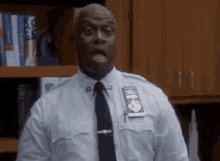 Ray Holt Yas Queen GIF - Ray Holt Yas Queen Brooklyn99 GIFs