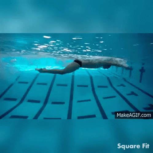 Butterfly Stroke Swimming GIF - Butterfly Stroke Swimming Swimmer -  Discover & Share GIFs