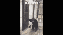 Ma Biere Let Me In GIF - Ma Biere Let Me In My Beers GIFs