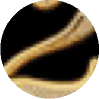 a circle with a black background and a gold object inside