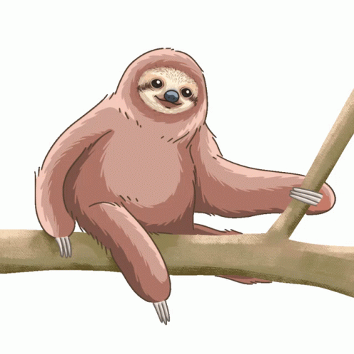 interesting sloth gif