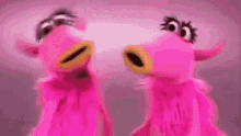 Manama Muppets GIF - Manama Muppets Sesame Street GIFs