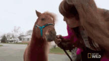 Neigh, Not Today! GIF - Dr Pol Nat Geo Dr Pol Show GIFs