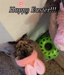 Happy Easter Funny Easter GIF - Happy Easter Funny Easter Easter GIFs