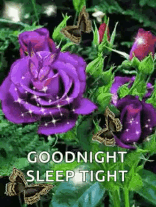 goodnight sparkles flowers sleep tight