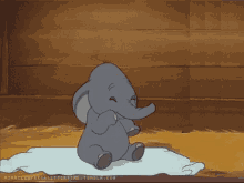 Baby Dumbo GIF - Baby Dumbo Sleep GIFs