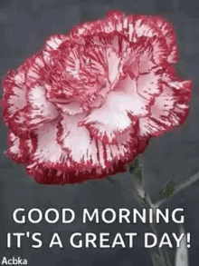 Good Morning Flowers GIF - Good Morning Flowers Sparkles GIFs
