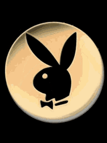 Pin Playboy GIF - Pin Playboy Play Boy Logo Png GIFs