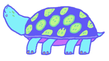 turtle tortoise blue nod wiggle