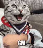 Gm Cat GIF - Gm Cat Happy Cat GIFs