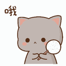 mochi peach grey cat lollipop