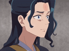 a close up of a person 's face with long blue hair